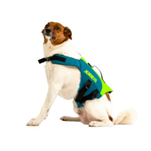 Koerte päästevest Jobe Pet Vest Lime Teal